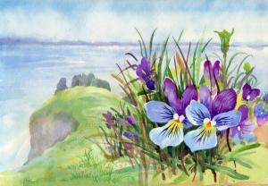 depositphotos_32257865-Spring-violet-flowers-on-mountain